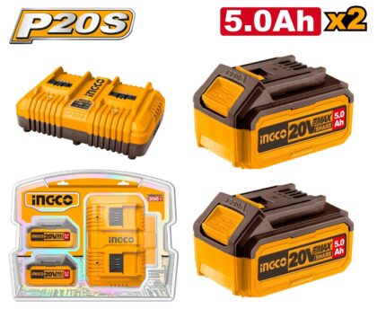 Kit batterie et chargeur Lithium-Ion P20S