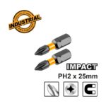 Jeu de 2 embouts S2 PH2 25mm